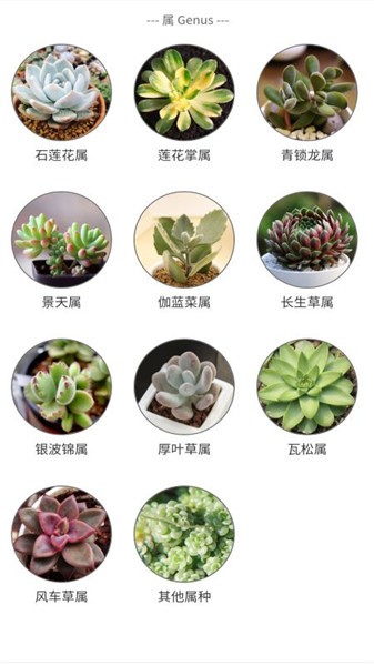 孕期幫手軟件 v1.0.0 安卓版 2