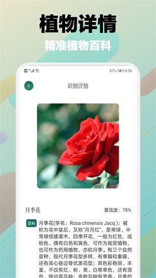 樹林記憶app v1.1 安卓版 0
