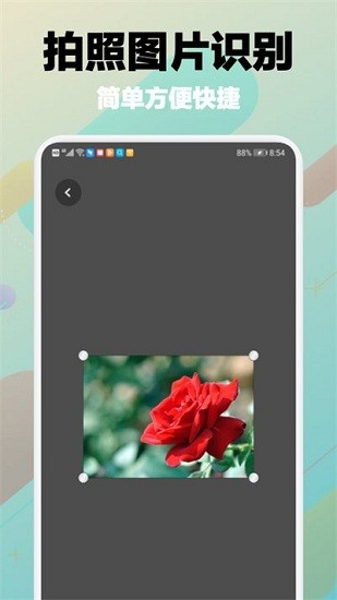 樹林記憶app下載