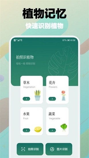 樹林記憶app v1.1 安卓版 1