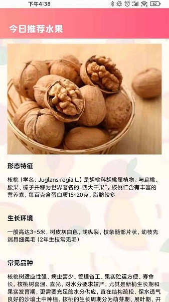 西瓜對對碰app v1.0 安卓版 2