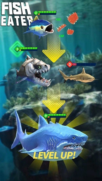 鯊魚進化論 v1.2.0 安卓版 0