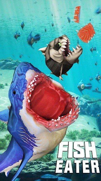 鯊魚進化論 v1.2.0 安卓版 3