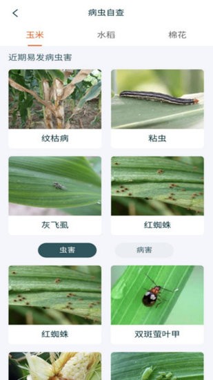 魯擔(dān)惠農(nóng)村集體版軟件 v1.0.0 安卓版 0