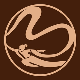 國風(fēng)軟件