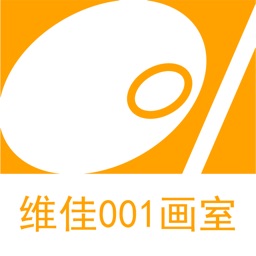 維佳001軟件