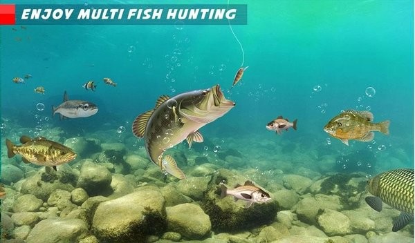 釣魚狂熱