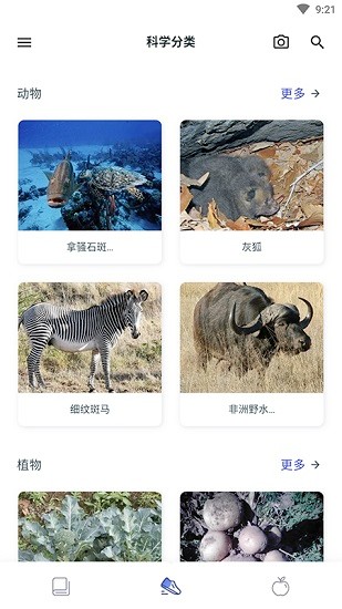 動(dòng)植物大全app中文 v1.0.4 安卓版 3