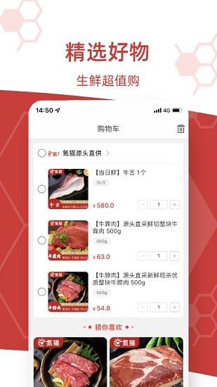氪貓app下載