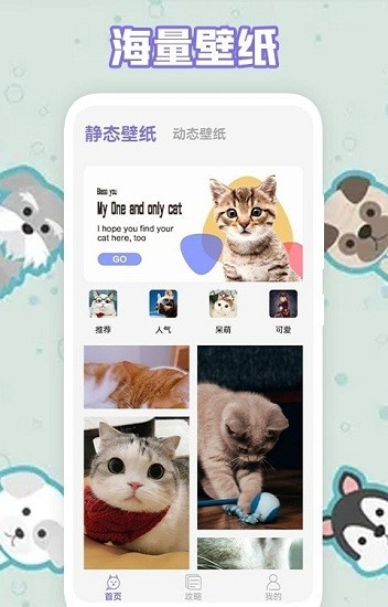 多多養(yǎng)貓助手官方版 v1.1 安卓版 0