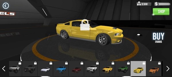 傳奇賽車手