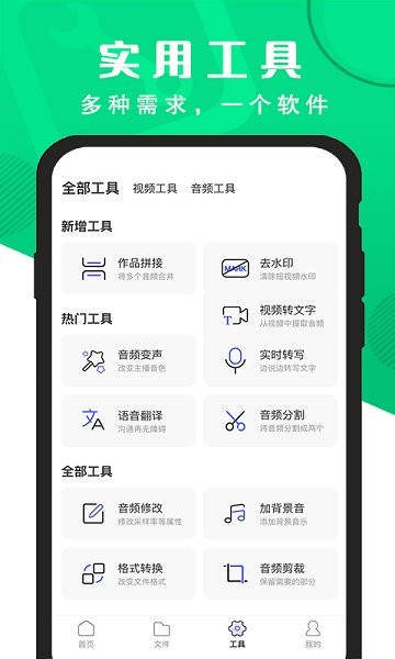 精準錄音轉(zhuǎn)文字app下載