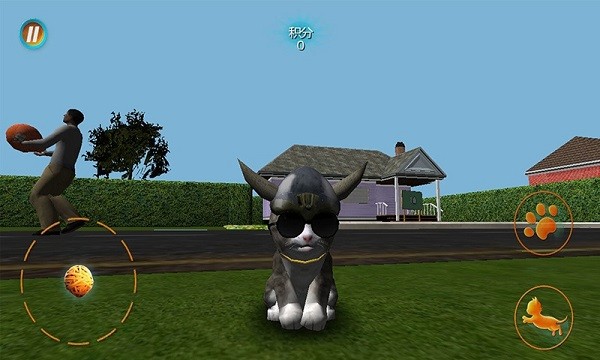 真實(shí)小貓3d模擬手游 v1.0.2 安卓版 0