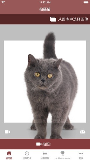 cat scanner貓咪鑒定器最新版 v12.8.15 安卓版 0