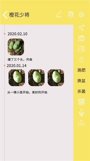 多肉花草日記app最新版 v1.6 安卓版 0