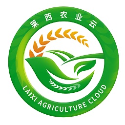 萊西農(nóng)業(yè)云最新版