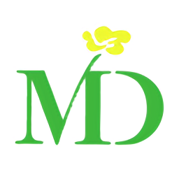 視頻md軟件