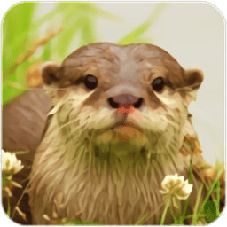 水獺模擬經(jīng)營(yíng)游戲(the otter)