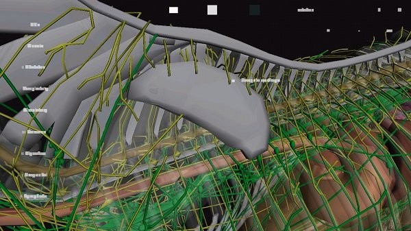 馬匹解剖模擬器3d 馬匹解剖模擬器3d下載