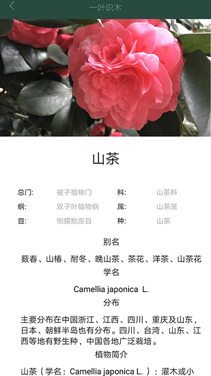一葉識(shí)木app