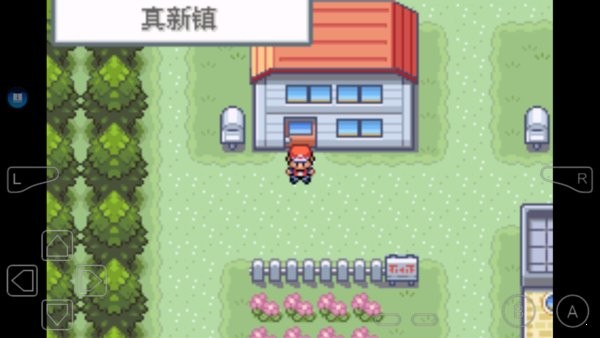 口袋妖怪圣魂之魄游戲