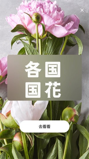 照片轉動漫人物app v1.0.0 安卓版 2