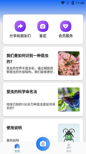 picture insect app