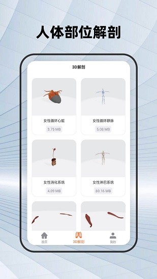 人體骨骼下載
