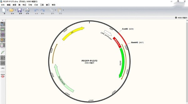 snapgene軟件正版(分子生物學(xué)分析軟件)0