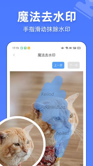視頻去水印萬能寶軟件2