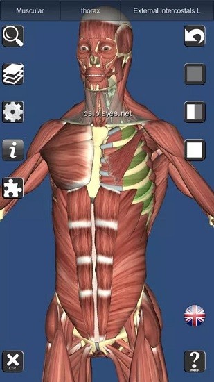 anatomy learning(人衛(wèi)3d解刨學) v2.1.349 安卓版 0