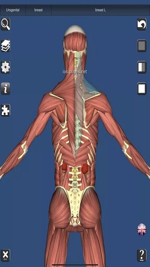 anatomy learning(人衛(wèi)3d解刨學) v2.1.349 安卓版 2