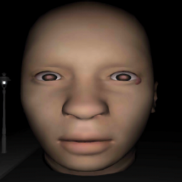 顏面運(yùn)動(dòng)會(huì)最新版(UndoukaiAndroidHorrorgame2)