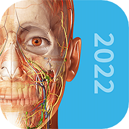 人體解剖學圖譜2022
