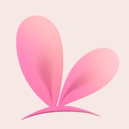 vtube studio手機版