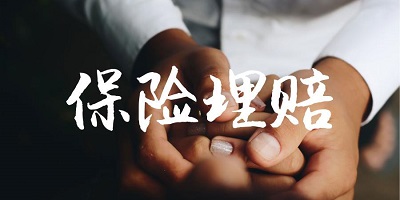 保險理賠軟件有哪些-快速理賠軟件-理賠查詢系統(tǒng)app下載