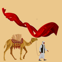 中科帶路