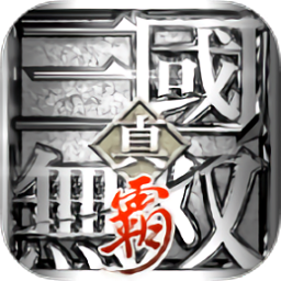 真三國無雙霸港臺(tái)服手游