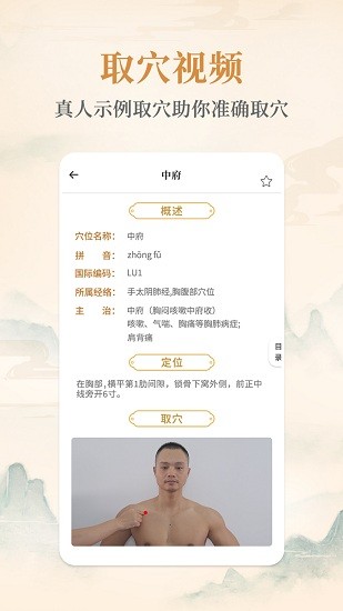 經(jīng)絡(luò)穴位大全 v1.0 安卓版 2