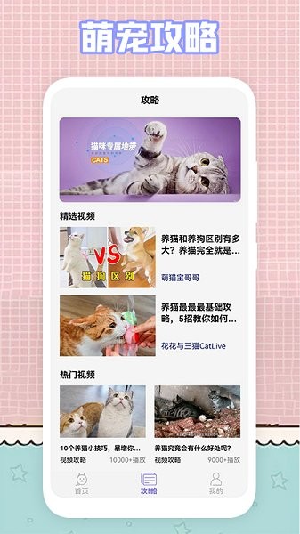 我的貓咪壁紙 v1.1 安卓版 1