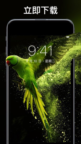 靈貓主題壁紙 v1.0.2 安卓版 3