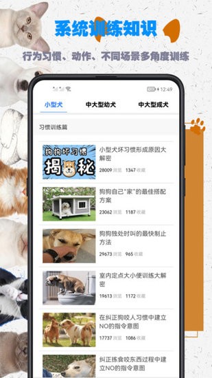 訓(xùn)狗教程免費(fèi)下載