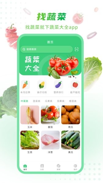 有機(jī)蔬菜大全