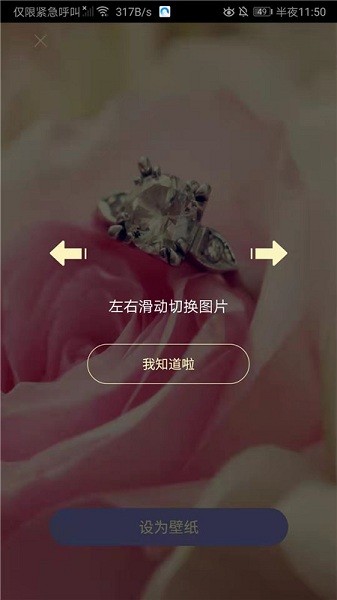 每日精選壁紙app v1 安卓版 1