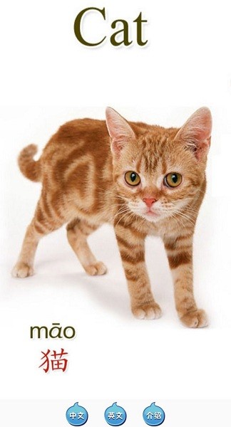 天天動(dòng)物app v1.0 安卓版 1