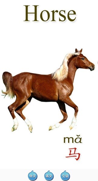 天天動(dòng)物app軟件 天天動(dòng)物安卓版