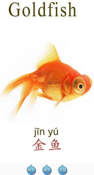 天天動(dòng)物app v1.0 安卓版 3