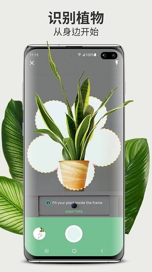 Blossom植物百科平臺(tái) v1.0.0 安卓版 1