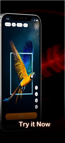 airlive 4k動(dòng)態(tài)壁紙 v1.0.2 安卓版 0