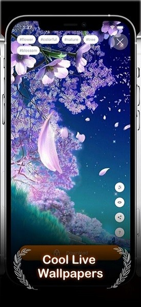 airlive app